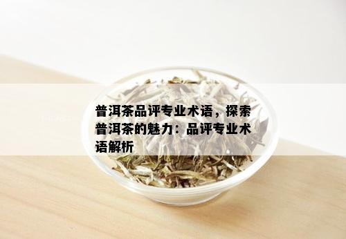 普洱茶品评专业术语，探索普洱茶的魅力：品评专业术语解析