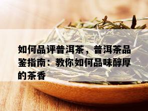 如何品评普洱茶，普洱茶品鉴指南：教你如何品味醇厚的茶香