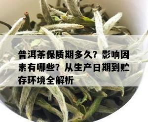 普洱茶保质期多久？影响因素有哪些？从生产日期到贮存环境全解析