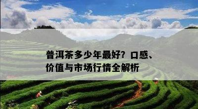 普洱茶多少年更好？口感、价值与市场行情全解析