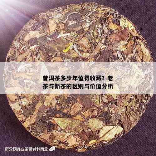 普洱茶多少年值得收藏？老茶与新茶的区别与价值分析