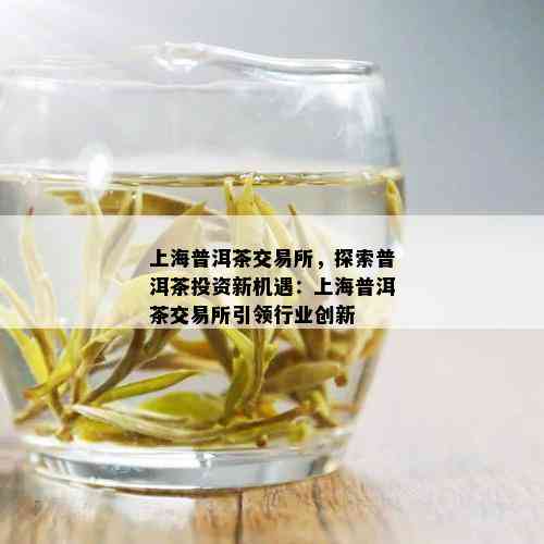 上海普洱茶交易所，探索普洱茶投资新机遇：上海普洱茶交易所引领行业创新