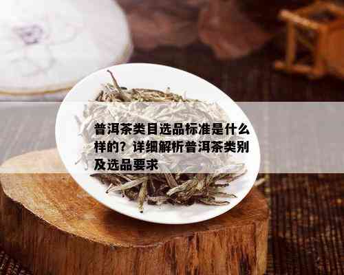 普洱茶类目选品标准是什么样的？详细解析普洱茶类别及选品要求