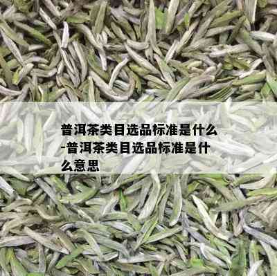 普洱茶类目选品标准是什么-普洱茶类目选品标准是什么意思