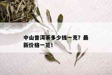 中山普洱茶多少钱一克？最新价格一览！