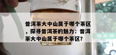 普洱茶大中山属于哪个茶区，探寻普洱茶的魅力：普洱茶大中山属于哪个茶区？