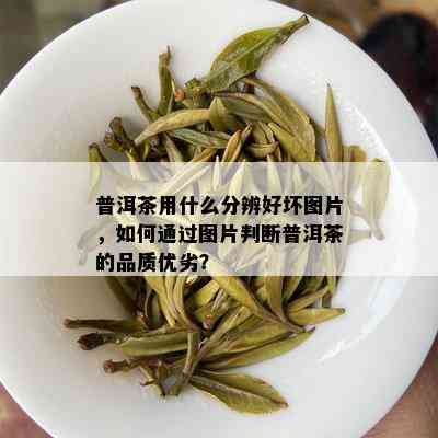 普洱茶用什么分辨好坏图片，如何通过图片判断普洱茶的品质优劣？