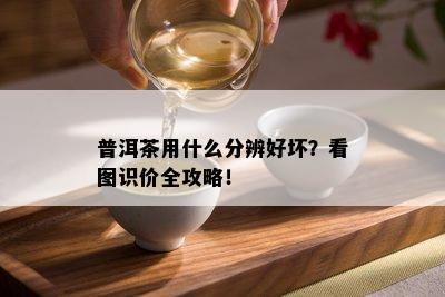 普洱茶用什么分辨好坏？看图识价全攻略！