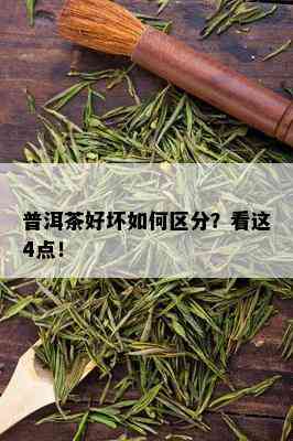 普洱茶好坏如何区分？看这4点！