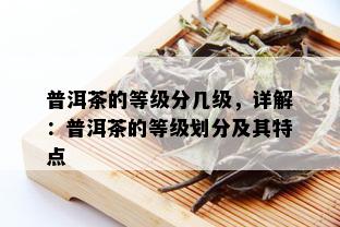 普洱茶的等级分几级，详解：普洱茶的等级划分及其特点