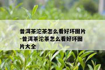 普洱茶沱茶怎么看好坏图片-普洱茶沱茶怎么看好坏图片大全