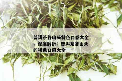 普洱茶各山头特色口感大全，深度解析：普洱茶各山头的特色口感大全