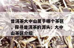 普洱茶大中山属于哪个茶区，探寻普洱茶的源头：大中山茶区介绍