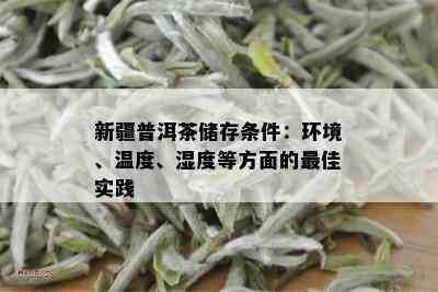 新疆普洱茶储存条件：环境、温度、湿度等方面的更佳实践