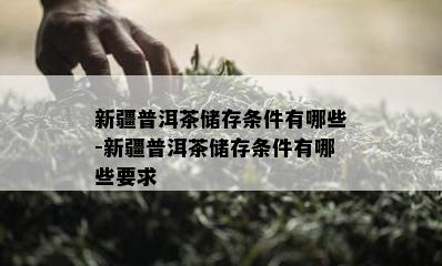 新疆普洱茶储存条件有哪些-新疆普洱茶储存条件有哪些要求