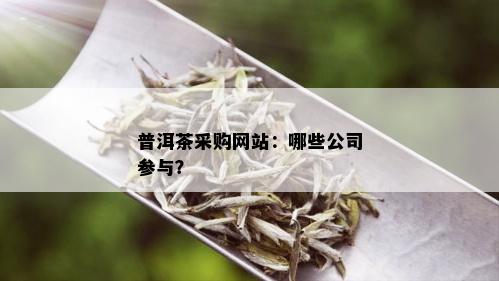 普洱茶采购网站：哪些公司参与？