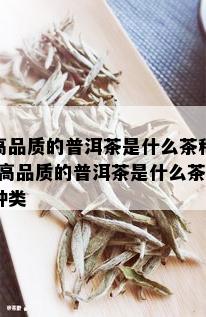 高品质的普洱茶是什么茶种-高品质的普洱茶是什么茶种类