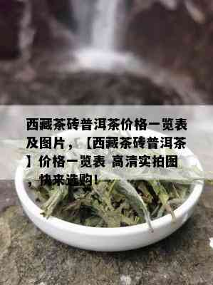  *** 茶砖普洱茶价格一览表及图片，【 *** 茶砖普洱茶】价格一览表 高清实拍图，快来选购！