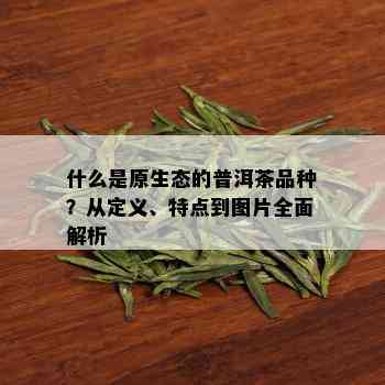 什么是原生态的普洱茶品种？从定义、特点到图片全面解析