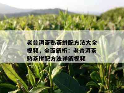 老普洱茶熟茶拼配方法大全视频，全面解析：老普洱茶熟茶拼配方法详解视频