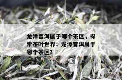 龙潭普洱属于哪个茶区，探索茶叶世界：龙潭普洱属于哪个茶区？