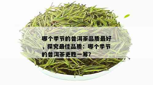 哪个季节的普洱茶品质更好，探究更佳品质：哪个季节的普洱茶更胜一筹？