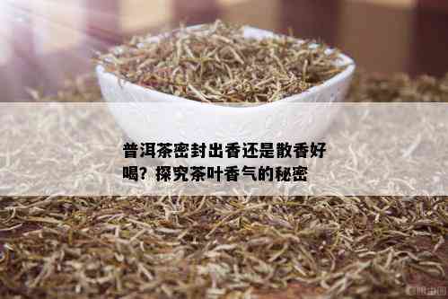 普洱茶密封出香还是散香好喝？探究茶叶香气的秘密