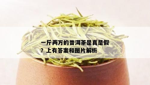 一斤两万的普洱茶是真是假？上有答案和图片解析