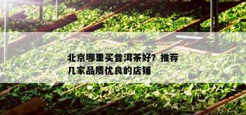 北京哪里买普洱茶好？推荐几家品质优良的店铺