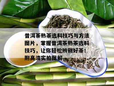 普洱茶熟茶选料技巧与方法图片，掌握普洱茶熟茶选料技巧，让你轻松辨别好茶！附高清实拍图解