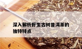 深入解析野生古树普洱茶的独特特点