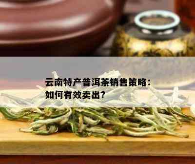 云南特产普洱茶销售策略：如何有效卖出?