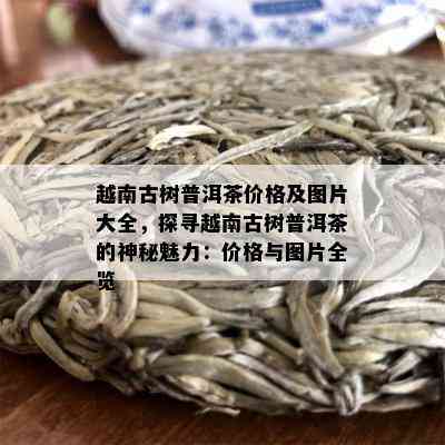 越南古树普洱茶价格及图片大全，探寻越南古树普洱茶的神秘魅力：价格与图片全览