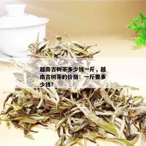 越南古树茶多少钱一斤，越南古树茶的价格：一斤要多少钱？