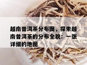 越南普洱茶分布图，探索越南普洱茶的分布全貌：一张详细的地图