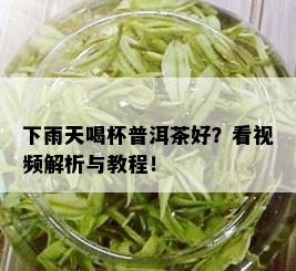 下雨天喝杯普洱茶好？看视频解析与教程！