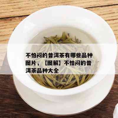 不怕闷的普洱茶有哪些品种图片，【图解】不怕闷的普洱茶品种大全