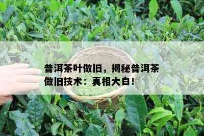 普洱茶叶做旧，揭秘普洱茶做旧技术：真相大白！