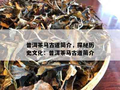 普洱茶马古道简介，探秘历史文化：普洱茶马古道简介