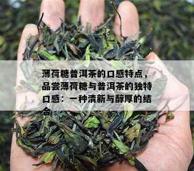 薄荷糖普洱茶的口感特点，品尝薄荷糖与普洱茶的独特口感：一种清新与醇厚的结合