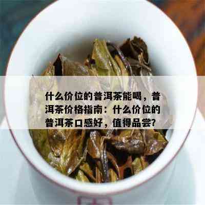 什么价位的普洱茶能喝，普洱茶价格指南：什么价位的普洱茶口感好，值得品尝？