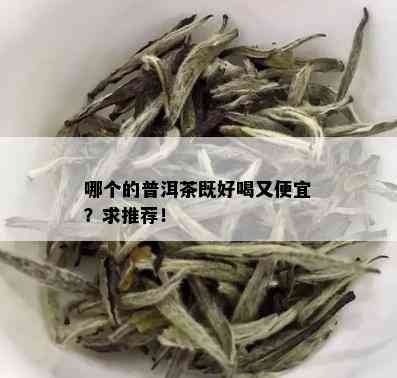 哪个的普洱茶既好喝又便宜？求推荐！