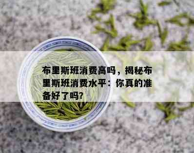 布里斯班消费高吗，揭秘布里斯班消费水平：你真的准备好了吗？