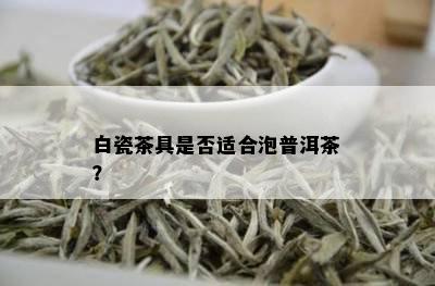 白瓷茶具是否适合泡普洱茶？