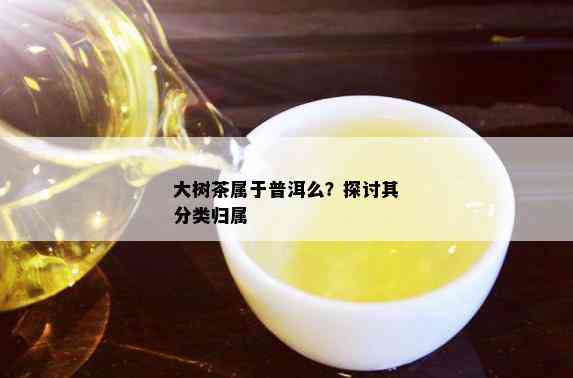 大树茶属于普洱么？探讨其分类归属