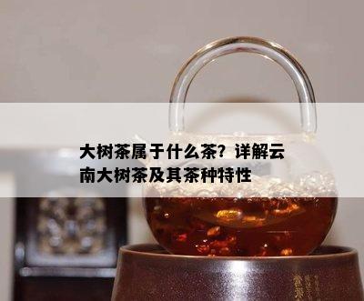 大树茶属于什么茶？详解云南大树茶及其茶种特性