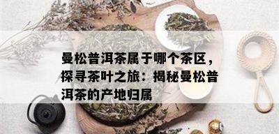 曼松普洱茶属于哪个茶区，探寻茶叶之旅：揭秘曼松普洱茶的产地归属