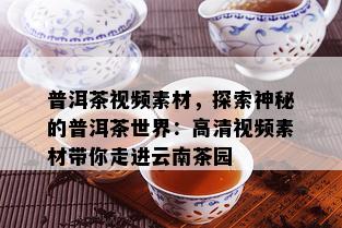 普洱茶视频素材，探索神秘的普洱茶世界：高清视频素材带你走进云南茶园