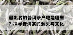 最出名的普洱茶产地是哪里？探寻普洱茶的源头与文化