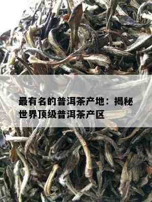 最有名的普洱茶产地：揭秘世界顶级普洱茶产区